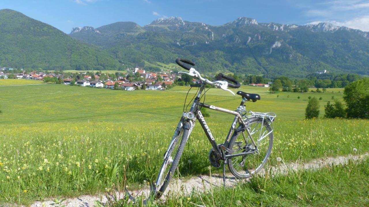 Wirtshaus Zum Baumbach Hotel Aschau im Chiemgau Bagian luar foto